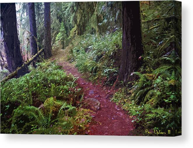 Forest Canvas Print featuring the photograph Pathway Through A Forest in Oregon by Ben Upham III