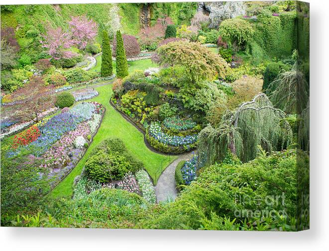Butchart Gardens Canvas Print featuring the photograph Pathway Through The Garden by Jill Greenaway