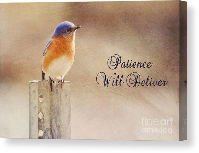 Patience Canvas Print featuring the photograph Patience Will Deliver by Metaphor Photo