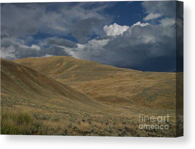 Lamar Valley Canvas Print featuring the photograph Peaceful Intensity by Katie LaSalle-Lowery