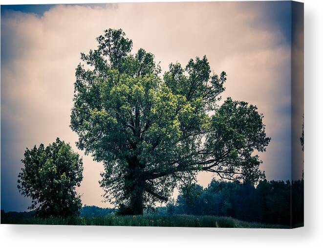 Peaceful Canvas Print featuring the photograph Peaceful Place Along Busy Highway by Off The Beaten Path Photography - Andrew Alexander