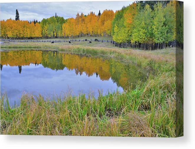 Colorado Canvas Print featuring the photograph Peaceful Pond by Ray Mathis