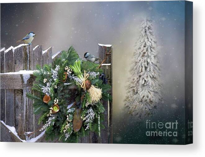 Chickadee Canvas Print featuring the photograph Peeking through the Garden Gate by Janette Boyd