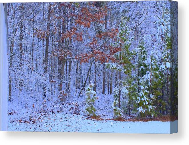 Pines Canvas Print featuring the photograph Peeking Through with Saturation Filter by Ali Baucom