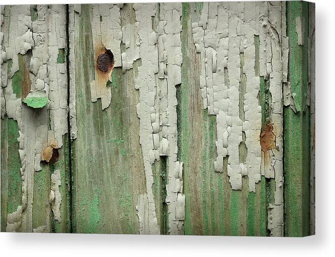 Paint Canvas Print featuring the photograph Peeling 3 by Mike Eingle