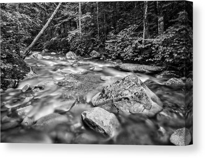 Photograph New Hampshire Canvas Print featuring the photograph Pemi River Black-White by Michael Hubley