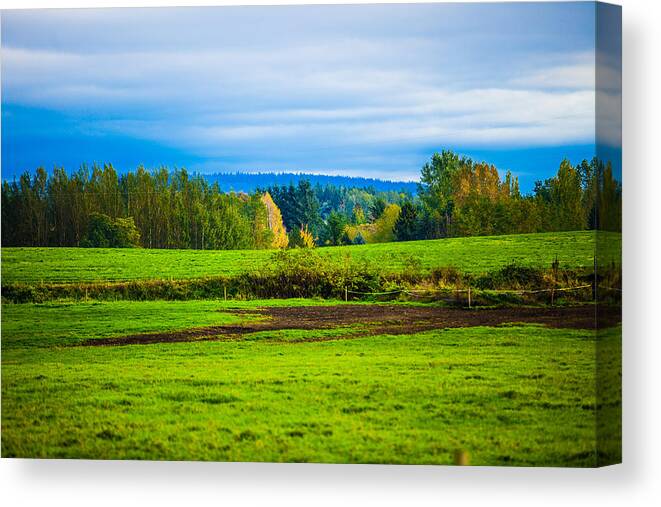 Nature Canvas Print featuring the photograph Perfect Place for a Meadow by Judy Wright Lott