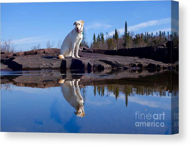 Betsy Canvas Print featuring the photograph Perfect Reflections by Sandra Updyke