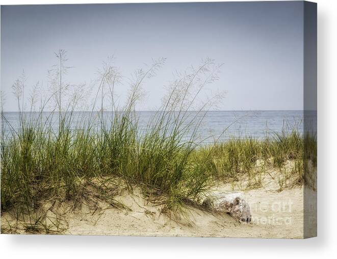  Michigan Canvas Print featuring the photograph Petoskey Park Dunes by Timothy Hacker