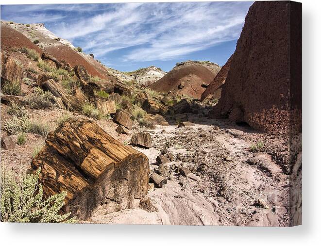 Petrified Forest Canvas Print featuring the photograph Petrified Wood in the Painted Desert by Melany Sarafis