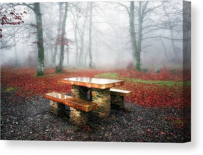 Picnic Canvas Print featuring the photograph Picnic of fog by Mikel Martinez de Osaba