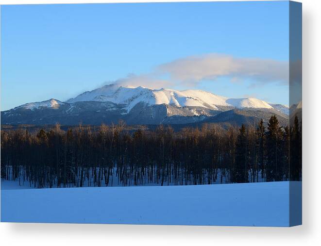 Snow Canvas Print featuring the photograph Pikes Peak from CR511 Divide CO by Margarethe Binkley