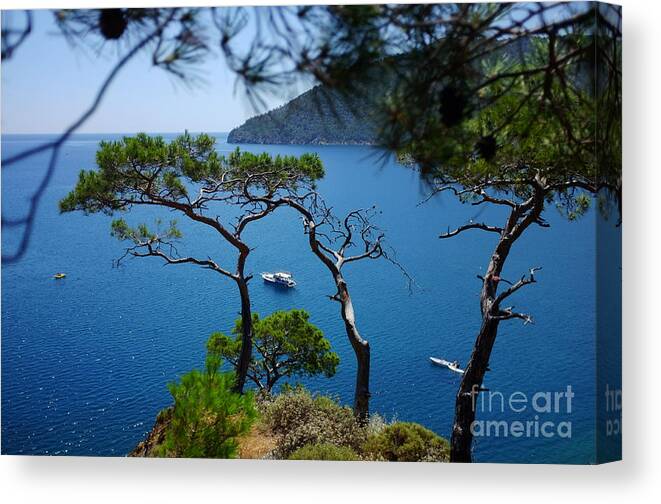 Pine forest over sea Seascape Artmif.lv iPhone XS Case by Raimond Klavins -  Pixels