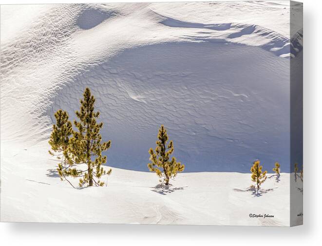 Snow Canvas Print featuring the photograph Pines in the Snow Drifts by Stephen Johnson