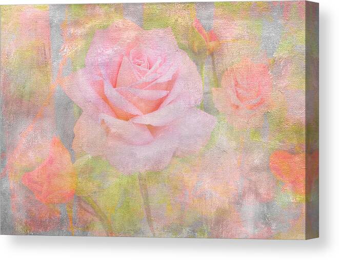 Rose Canvas Print featuring the photograph Pink Delicacy by Marina Kojukhova