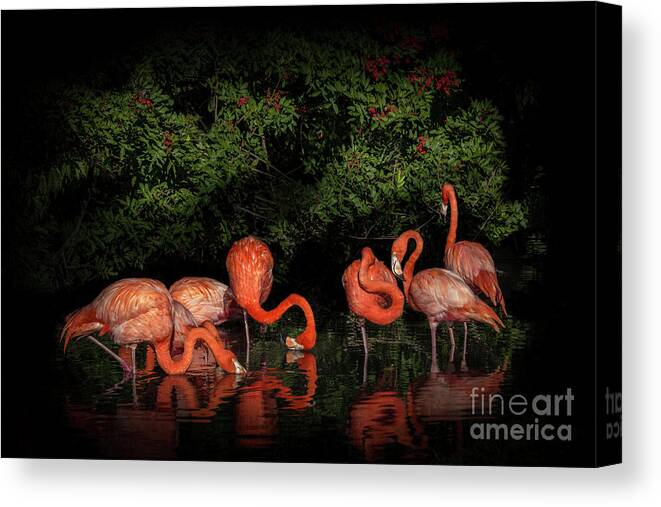 Bath And Spa Canvas Print featuring the photograph Pink Flamingo Heaven by Liesl Walsh