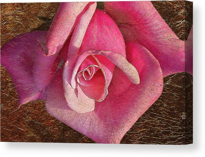 Rose Canvas Print featuring the photograph Pink Rose With Gold Leaf Look by Phyllis Denton