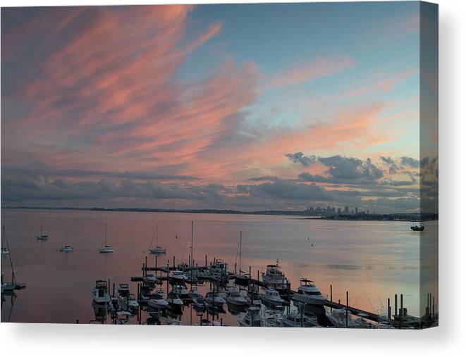 Harbor Canvas Print featuring the photograph Pink Tendrils by Ellen Koplow