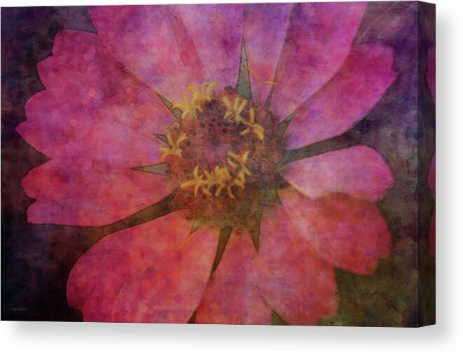 Impressionist Canvas Print featuring the photograph Pink Zinnia 2397 IDP_2 by Steven Ward