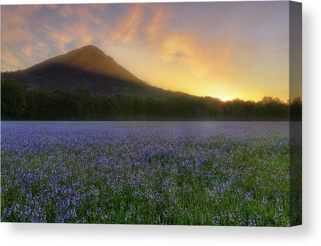 Pinnacle Mountain Canvas Print featuring the photograph Pinnacle Mountain Sunrise - Arkansas - State Park by Jason Politte