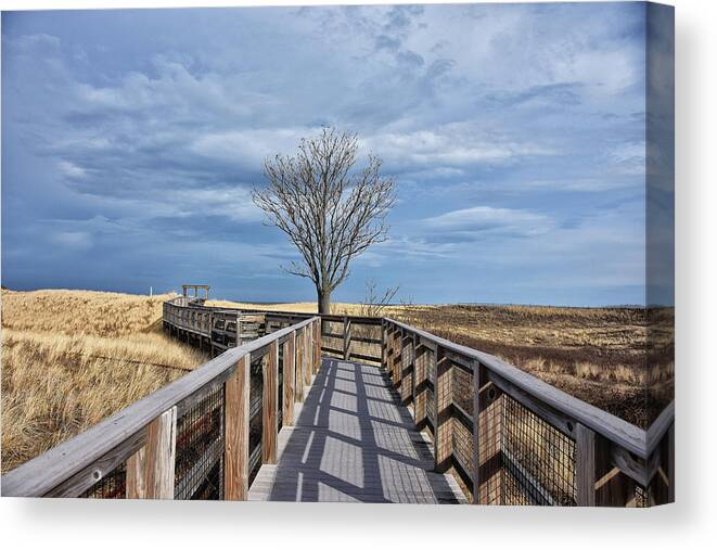 Newburyport Canvas Print featuring the photograph Plum Island Walkway by Tricia Marchlik