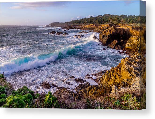 California Canvas Print featuring the photograph Point Lobos by Derek Dean