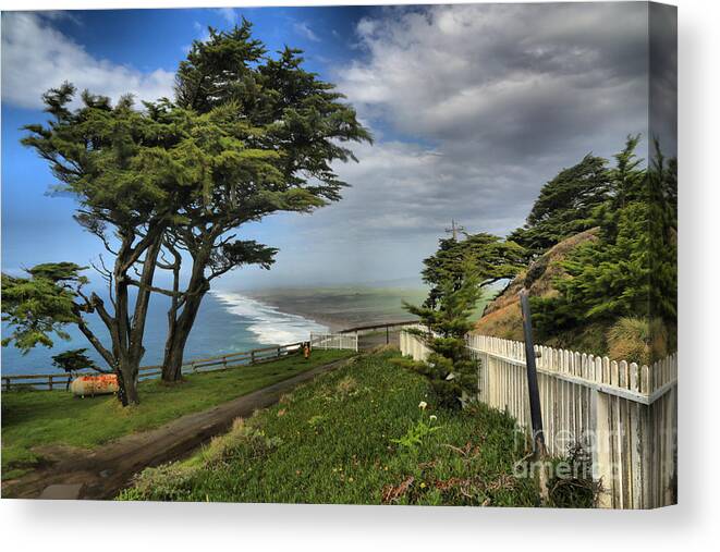 Point Reyes Canvas Print featuring the photograph Point Reyes Windblown Cypress by Adam Jewell