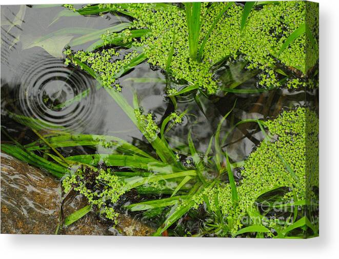Pond Canvas Print featuring the photograph Pond Abstract I by Merrimon Crawford