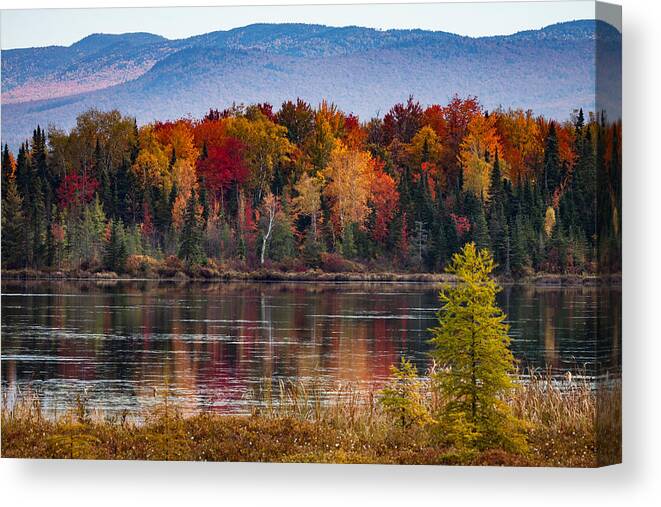 Pondicherry Wildlife Conservation Canvas Print featuring the photograph Pondicherry fall foliage reflection by Jeff Folger
