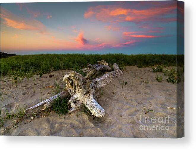 2018 Canvas Print featuring the photograph Popham Beach Driftwood at Sunset by Craig Shaknis