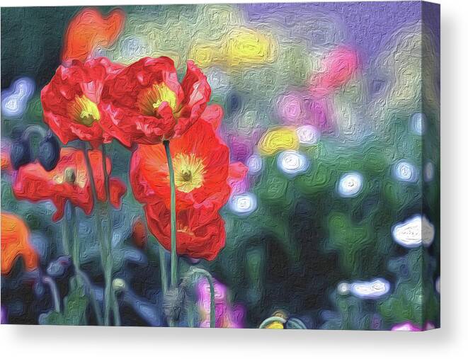 Poppies Canvas Print featuring the photograph Poppy Delight by Vanessa Thomas