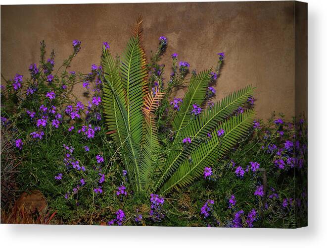 Scenic Canvas Print featuring the photograph Postcard Perfect by Elaine Malott