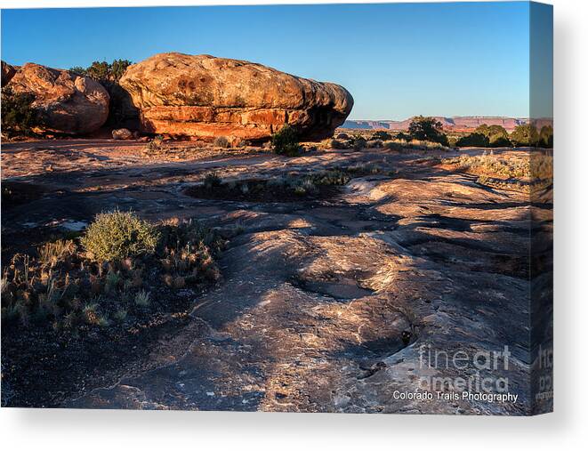 Canyonlands Landscape Canvas Print featuring the photograph Pot Hole Trail by Jim Garrison