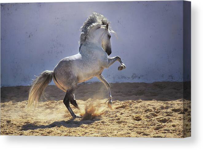 Russian Artists New Wave Canvas Print featuring the photograph Power in Motion by Ekaterina Druz