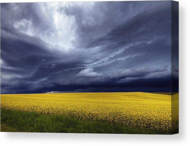 Prairie Canvas Print featuring the photograph Prairie Storm by David Buhler