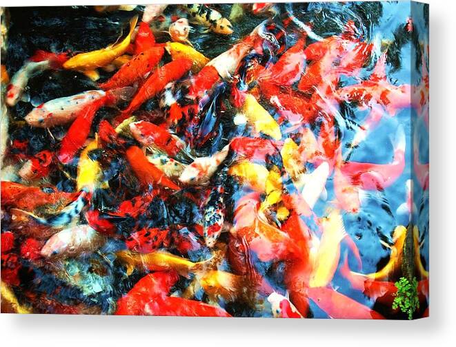 Carp Canvas Print featuring the photograph Prosperity by HweeYen Ong