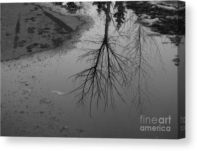 Spring Thaw Canvas Print featuring the photograph Puddles by Ann E Robson