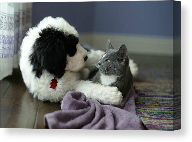 Puppy Love Canvas Print featuring the photograph Puppy Love by Linda Mishler