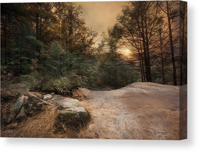  Woodland Canvas Print featuring the photograph Purgatory Chasm by Robin-Lee Vieira