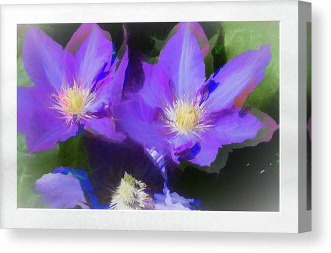 Flower Impressions Canvas Print featuring the photograph Purple Clementis by Natalie Rotman Cote