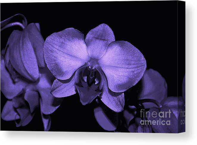 Orchids Canvas Print featuring the mixed media Purple Shades of Orchids by Sherry Hallemeier