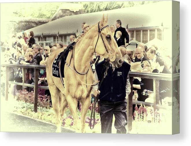 Horses Canvas Print featuring the photograph Putra Pulai at Newmarket by Jack Torcello