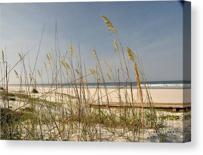Daytona Canvas Print featuring the photograph Quiet Beach by John Black