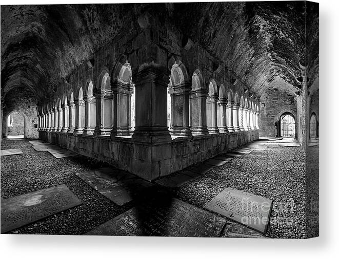 Ireland Canvas Print featuring the photograph Quin Abbey by Dennis Hedberg