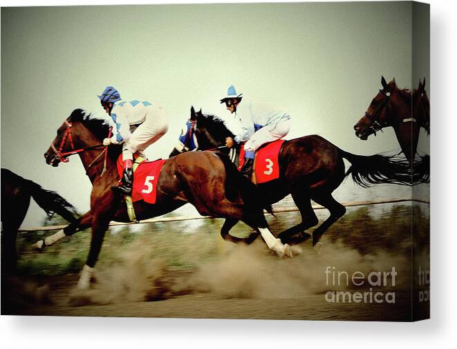 Horse Canvas Print featuring the photograph Racing horses neck to neck in competition by Dimitar Hristov