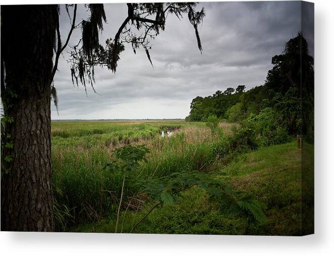 Marsh Canvas Print featuring the photograph Rain clouds and marsh by John Simmons