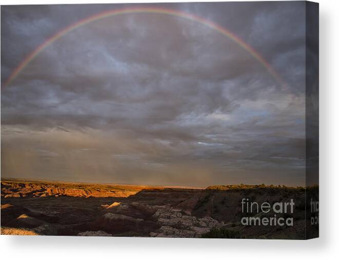 Petrified Forest Canvas Print featuring the photograph Rainbow At Sunset by Melany Sarafis