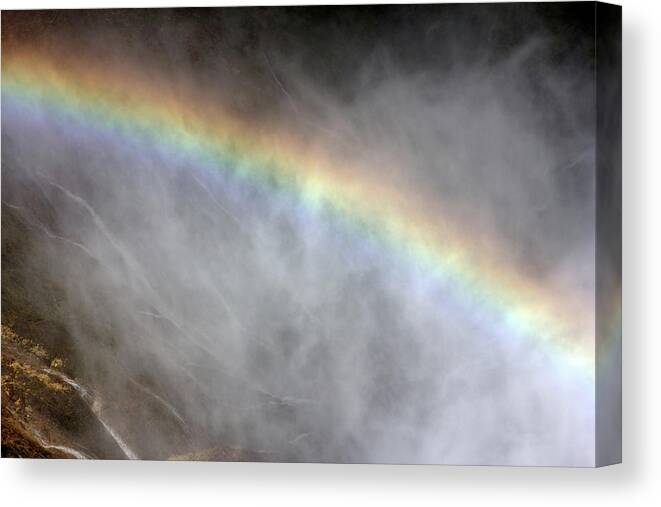 The Grand Canyon Of The Yellowstone Canvas Print featuring the photograph Rainbow by Ronald Jansen