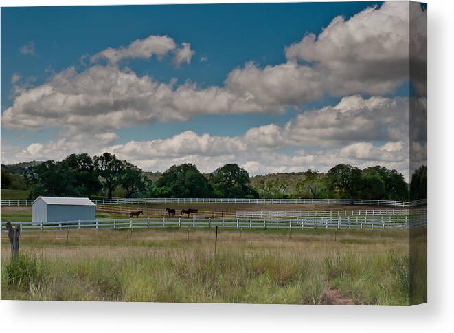 Texas Canvas Print featuring the photograph Ranch by Brian Kinney