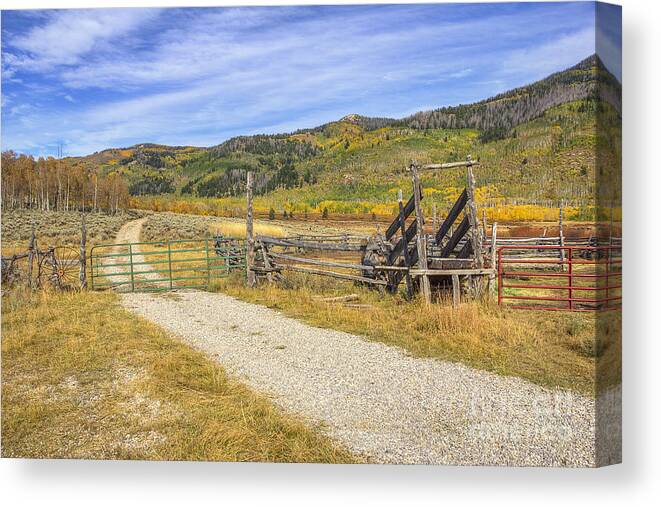 Fall Canvas Print featuring the photograph Ranch Road by Spencer Baugh